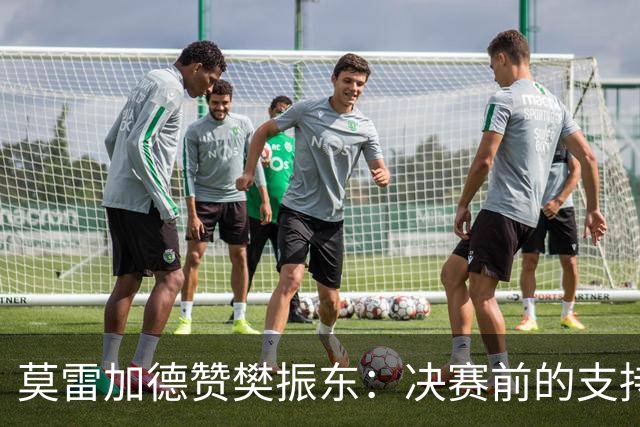 莫雷加德赞樊振东：决赛前的支持让我倍感振奋